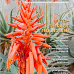 Nederlands Tijdschrift voor Fytotherapie 20121 nr. 1