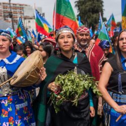 Mapuche in Chili tijdens een protest
De tak die ze in hun hand hebben, is de canelo of foye (Drimys winteri*). Rafael Railaf van
Mapuche Stichting Folil vertelt hierover aan de auteur van dit artikel: “Dit is een zeer belangrijke
en krachtige medicinale boom in de Mapuche-cultuur. Hij symboliseert het zuivere, het goede
en vrede en gerechtigheid binnen de Mapuche-gemeenschap”. Zie voor meer informatie:
mapuche.nl (met name de sociale media worden regelmatig bijgewerkt).
Foto: Migrar Photo. Via: ciperchile.cl/2020/03/13/las-mujeres-mapuche-y-el-feminismo