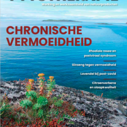 Scherm­afbeelding 2024-11-28 om 16.54.45