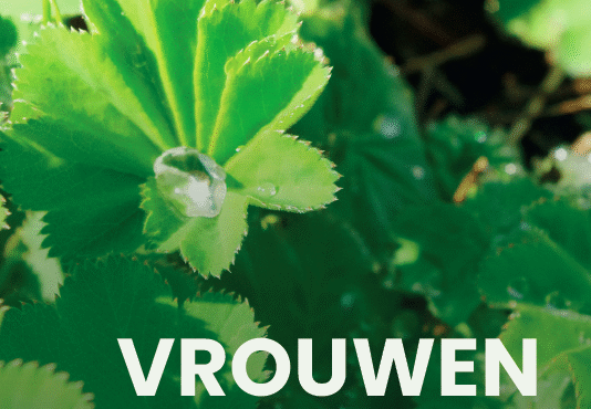 Vrouwen - cyclus en vruchtbaarheid